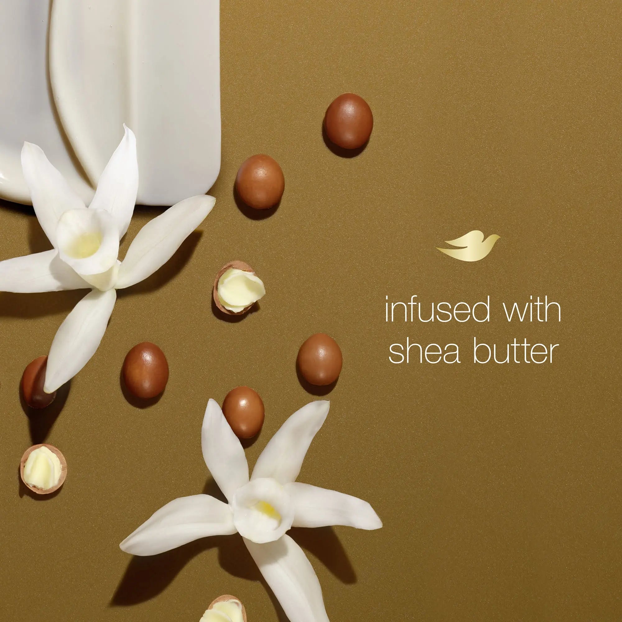 Close-up of Dove Pampering Body Wash with shea butter and vanilla highlighted