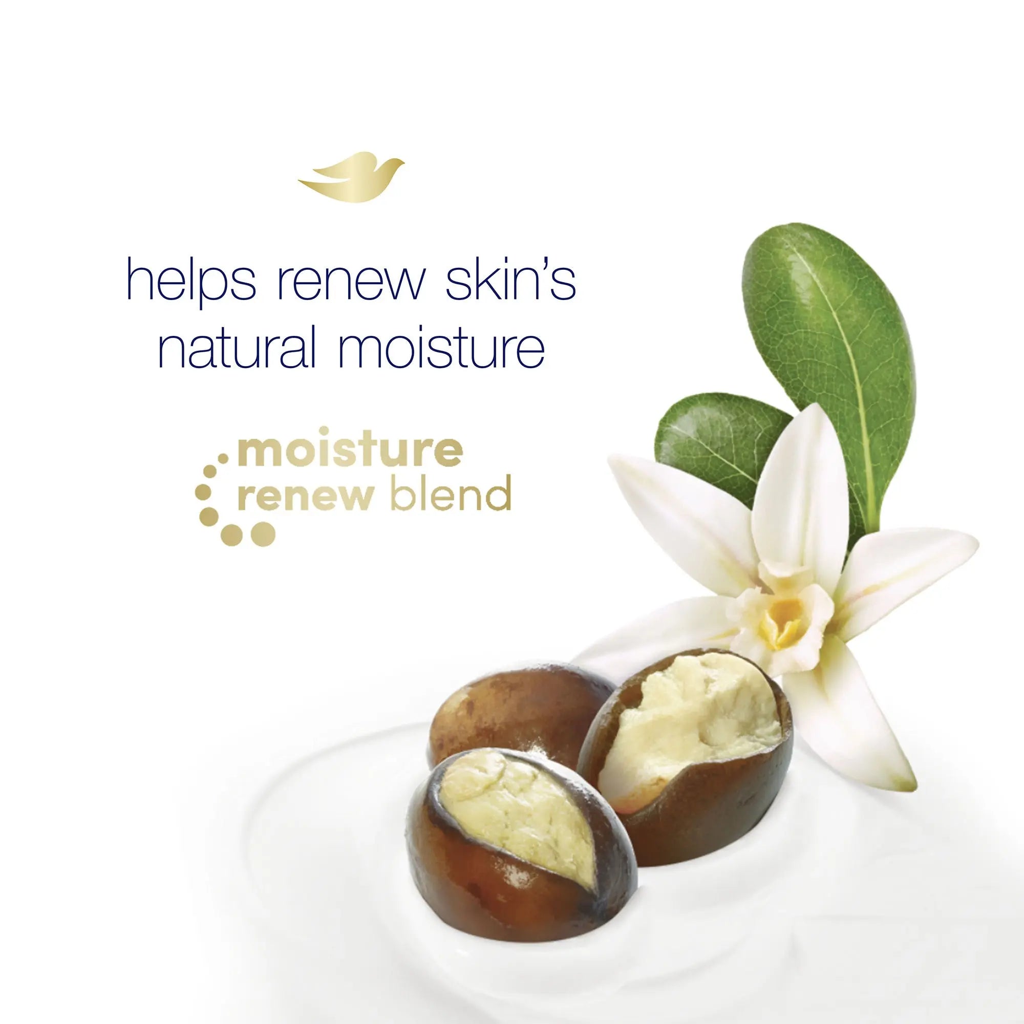 Dove body wash displayed with natural shea butter and vanilla beans