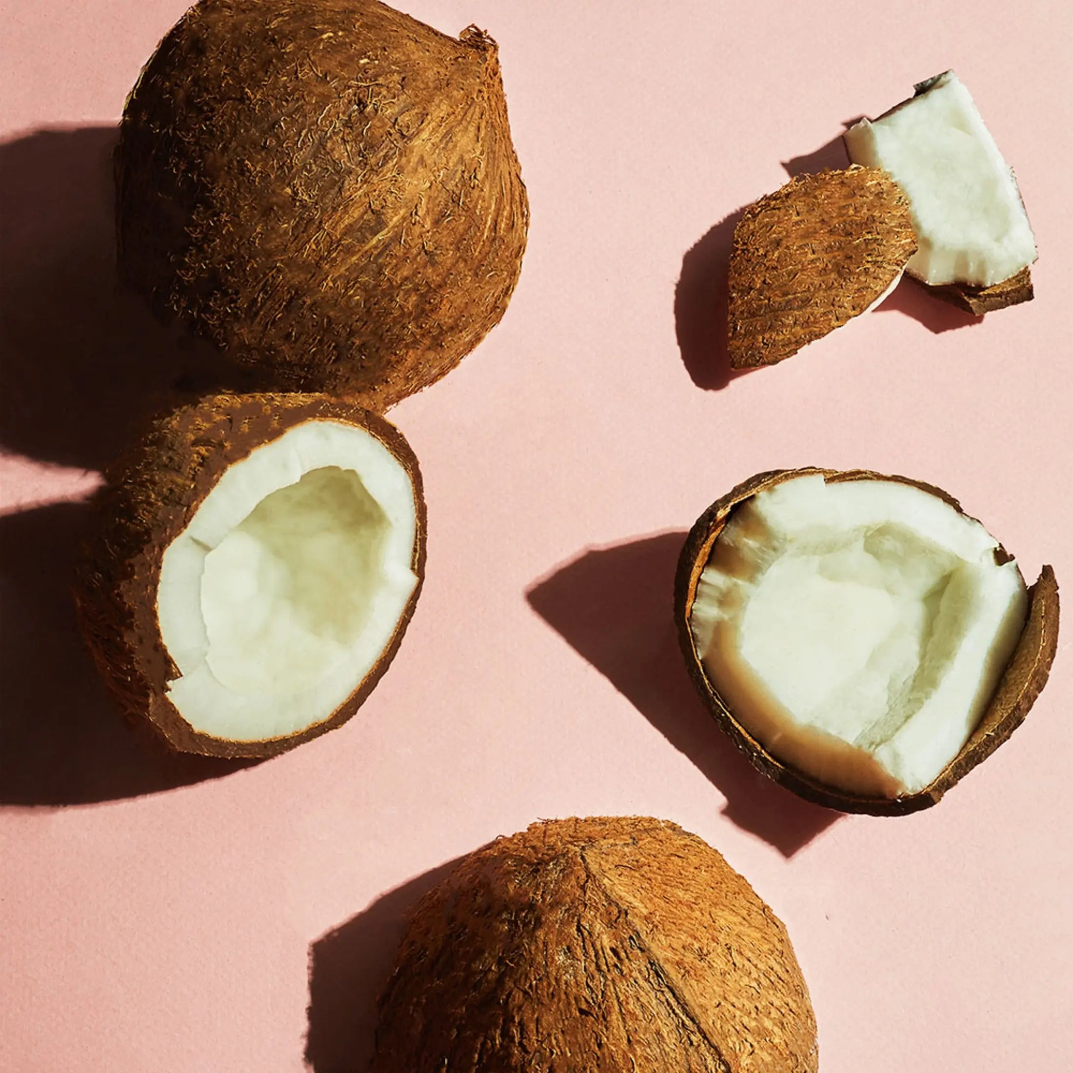 Softsoap Exfoliating Body Wash Scrub, Coconut Butter - 20 Fluid Ounce (4 Pack), All Skin Types, Adult Rizkfromrazzak